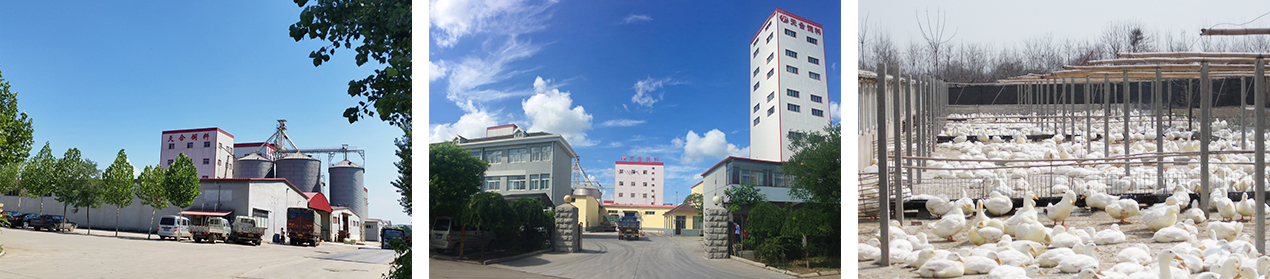 1691978647131894.jpg 14.jpg